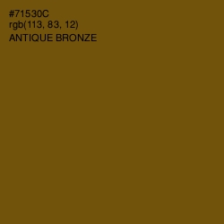 #71530C - Antique Bronze Color Image