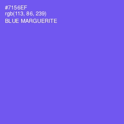 #7156EF - Blue Marguerite Color Image