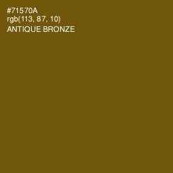 #71570A - Antique Bronze Color Image