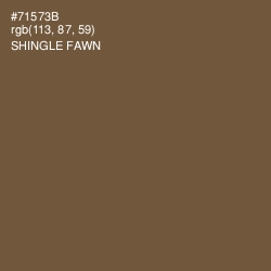 #71573B - Shingle Fawn Color Image