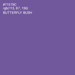 #71579C - Butterfly Bush Color Image