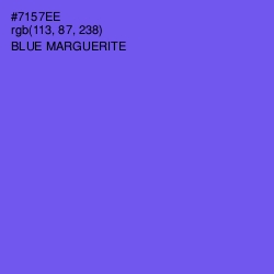 #7157EE - Blue Marguerite Color Image