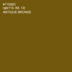 #71580C - Antique Bronze Color Image