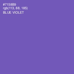 #7158B9 - Blue Violet Color Image