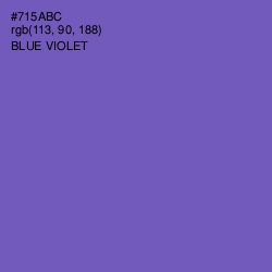 #715ABC - Blue Violet Color Image