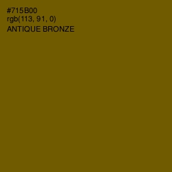 #715B00 - Antique Bronze Color Image