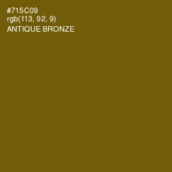 #715C09 - Antique Bronze Color Image