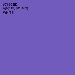 #715CBD - Blue Violet Color Image