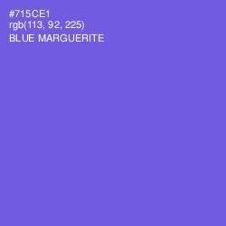 #715CE1 - Blue Marguerite Color Image