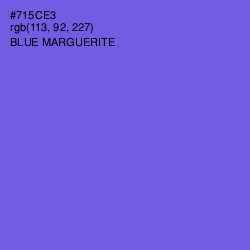 #715CE3 - Blue Marguerite Color Image