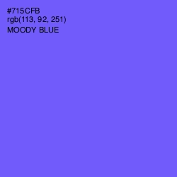 #715CFB - Moody Blue Color Image