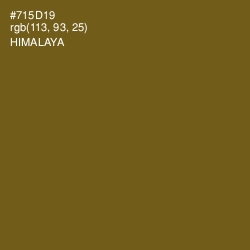 #715D19 - Himalaya Color Image
