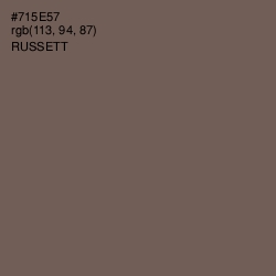 #715E57 - Russett Color Image