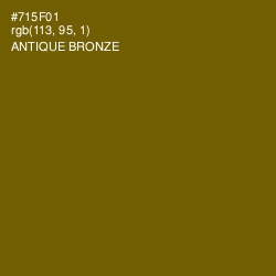 #715F01 - Antique Bronze Color Image