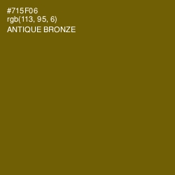 #715F06 - Antique Bronze Color Image