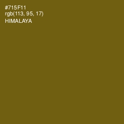 #715F11 - Himalaya Color Image