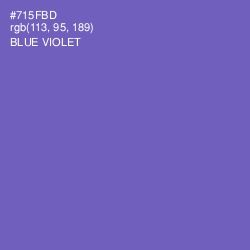 #715FBD - Blue Violet Color Image