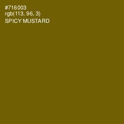 #716003 - Spicy Mustard Color Image