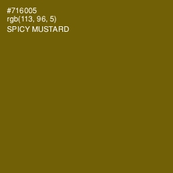 #716005 - Spicy Mustard Color Image
