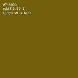 #716009 - Spicy Mustard Color Image