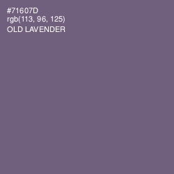 #71607D - Old Lavender Color Image