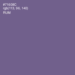 #71608C - Rum Color Image