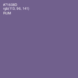 #71608D - Rum Color Image