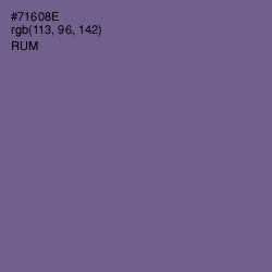 #71608E - Rum Color Image