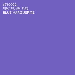 #7160C0 - Blue Marguerite Color Image