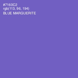 #7160C2 - Blue Marguerite Color Image