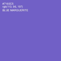 #7160C5 - Blue Marguerite Color Image