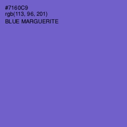 #7160C9 - Blue Marguerite Color Image