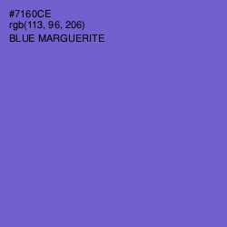 #7160CE - Blue Marguerite Color Image