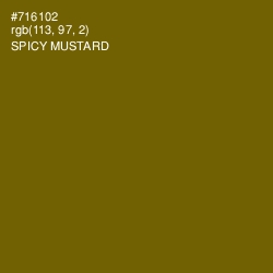 #716102 - Spicy Mustard Color Image