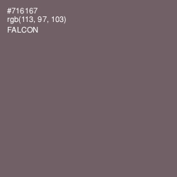 #716167 - Falcon Color Image