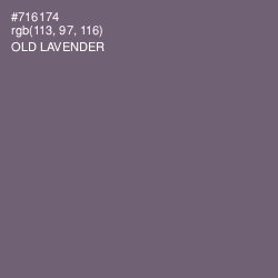 #716174 - Old Lavender Color Image