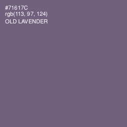 #71617C - Old Lavender Color Image