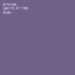#71618A - Rum Color Image