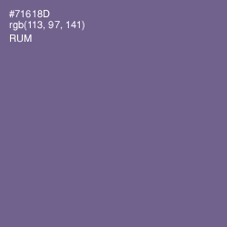 #71618D - Rum Color Image