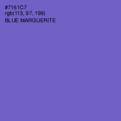 #7161C7 - Blue Marguerite Color Image