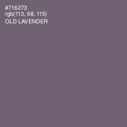 #716273 - Old Lavender Color Image