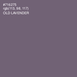 #716275 - Old Lavender Color Image
