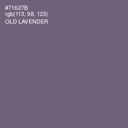 #71627B - Old Lavender Color Image