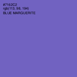 #7162C2 - Blue Marguerite Color Image