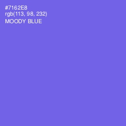 #7162E8 - Moody Blue Color Image