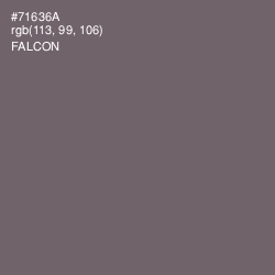 #71636A - Falcon Color Image