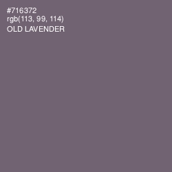 #716372 - Old Lavender Color Image