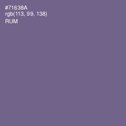 #71638A - Rum Color Image