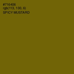 #716406 - Spicy Mustard Color Image