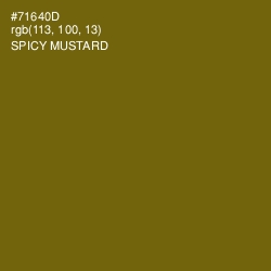 #71640D - Spicy Mustard Color Image